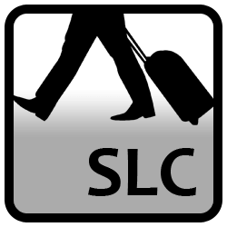 Fly Delta Virtual Partner - SLC