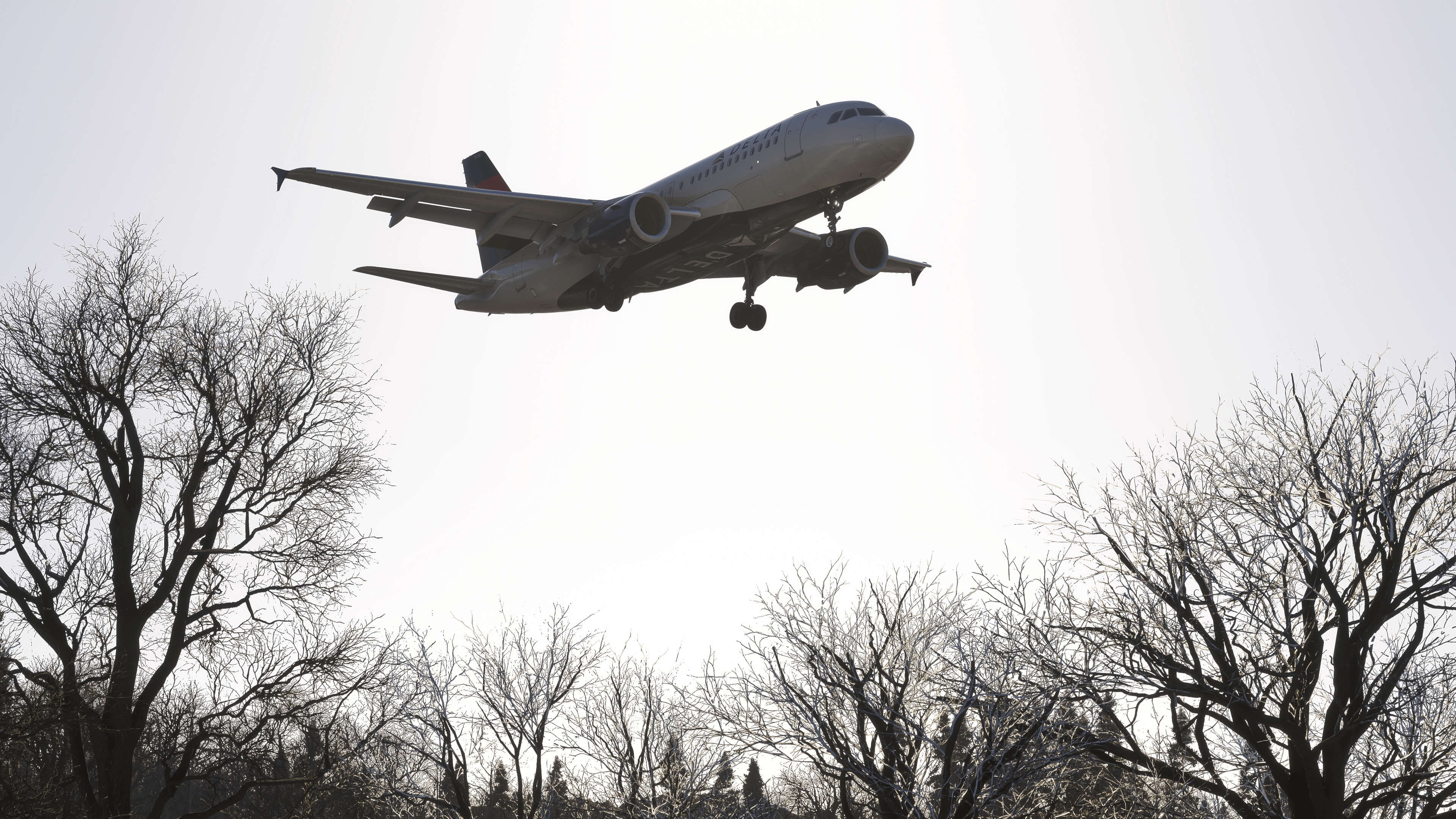 Fly Delta Virtual - Group Flights